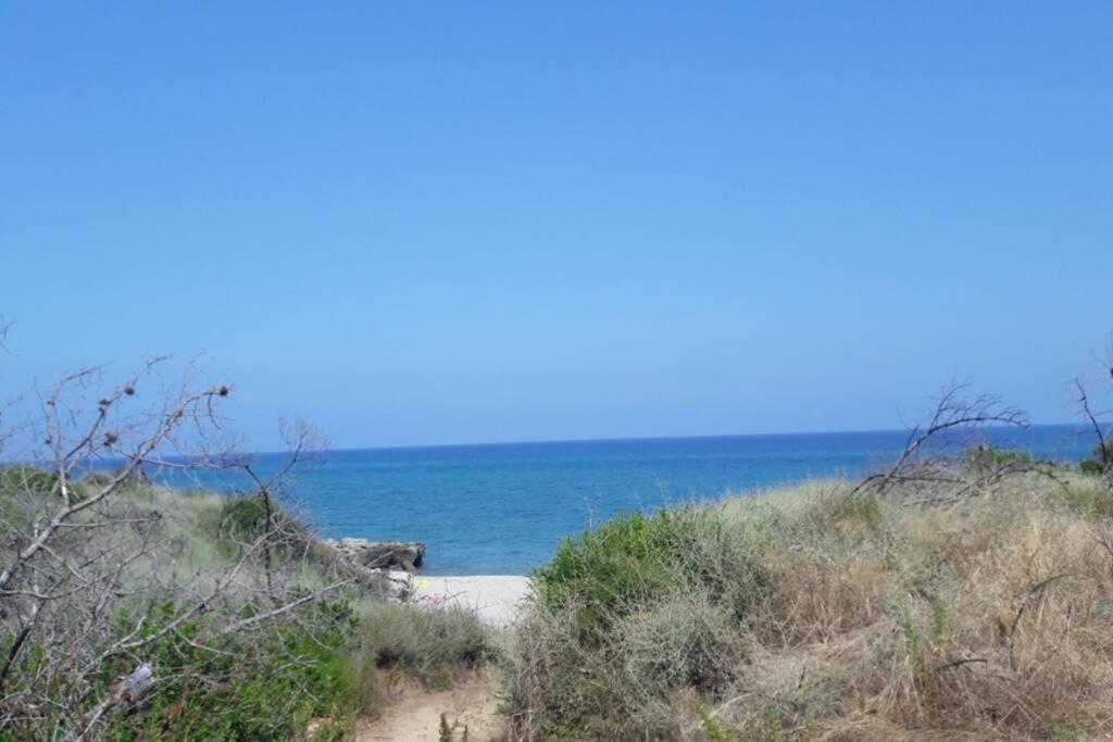 Appartement Les Pieds Dans L'Eau 300 M Plage - 2 Piscines Linguizzetta Exterior foto